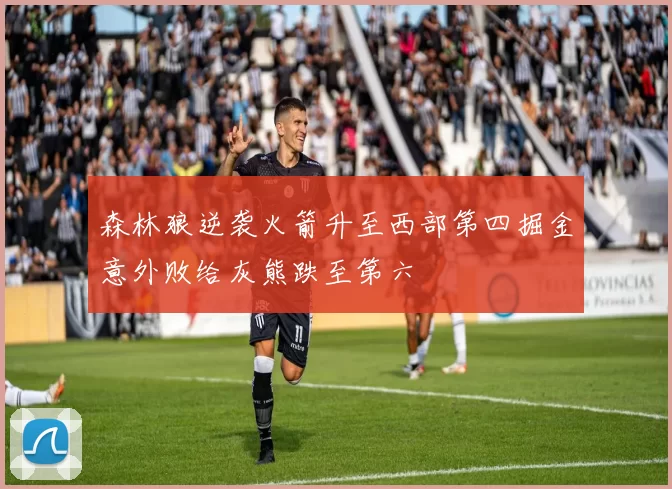 森林狼逆袭火箭升至西部第四掘金意外败给灰熊跌至第六