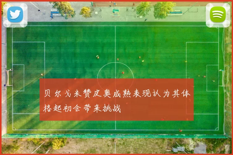 贝尔戈米赞皮奥成熟表现认为其体格起初会带来挑战